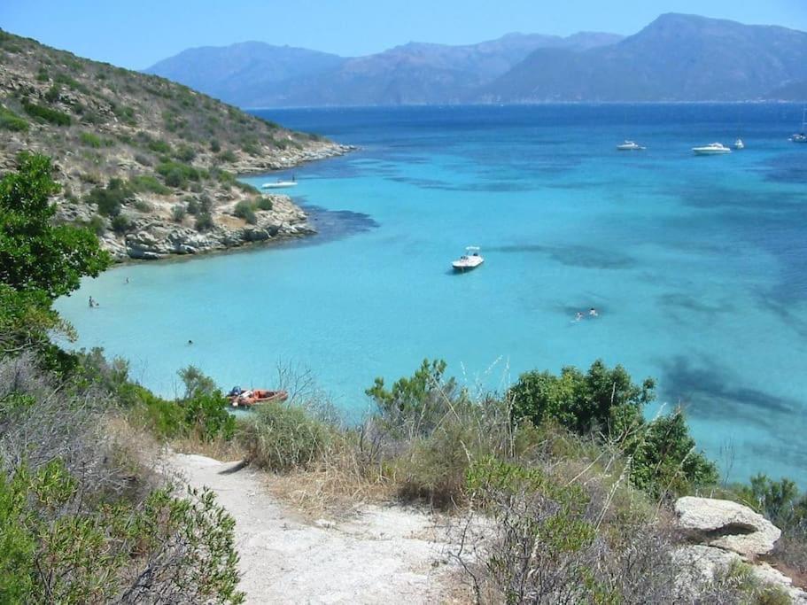 Studio Centre Ville Saint-Florent A 100M De La Mer Экстерьер фото